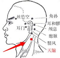 天竅穴位置|天牖穴位置 